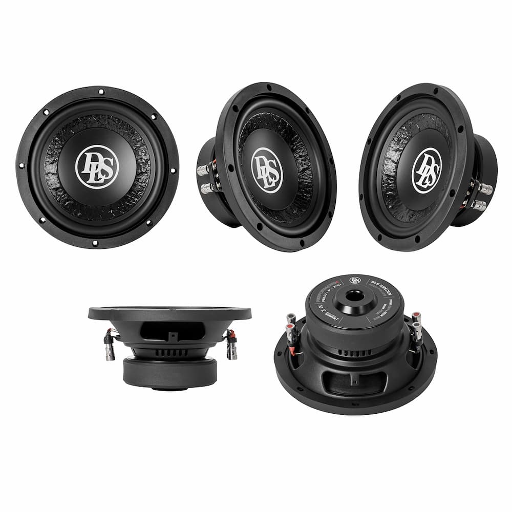 dls-pe-8-d2.jpg