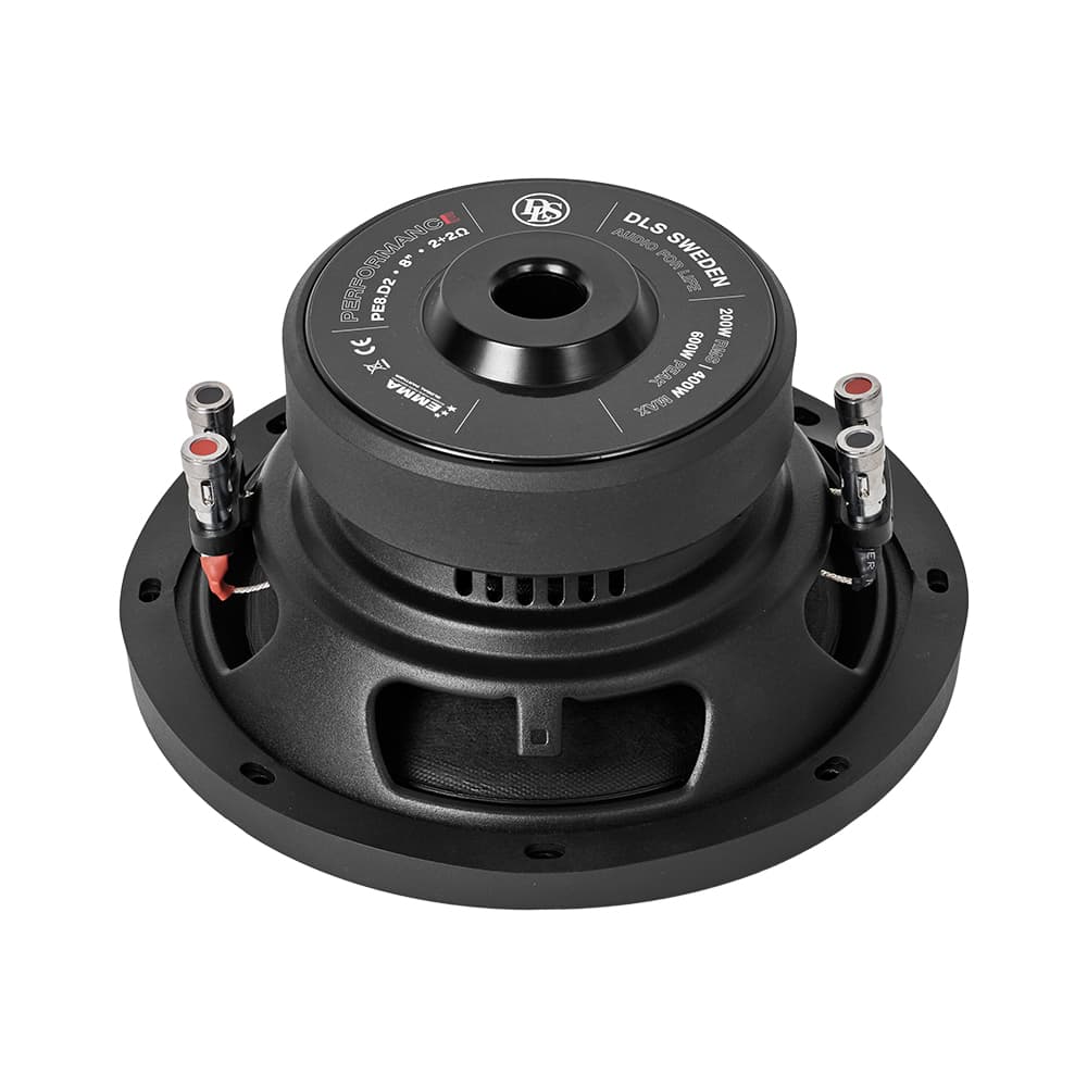 dls-pe8-d2-5.jpg